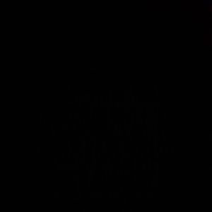 Meet your Posher, Gavyn